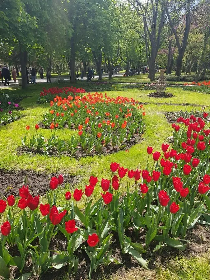 Апартамент Лазур 0*, Burgas Bułgaria