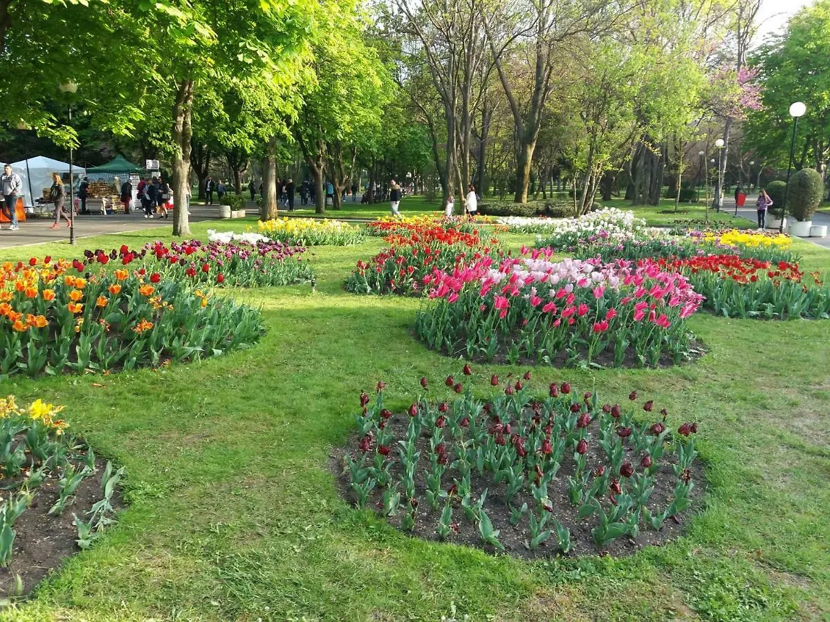 Apartman Апартамент Лазур